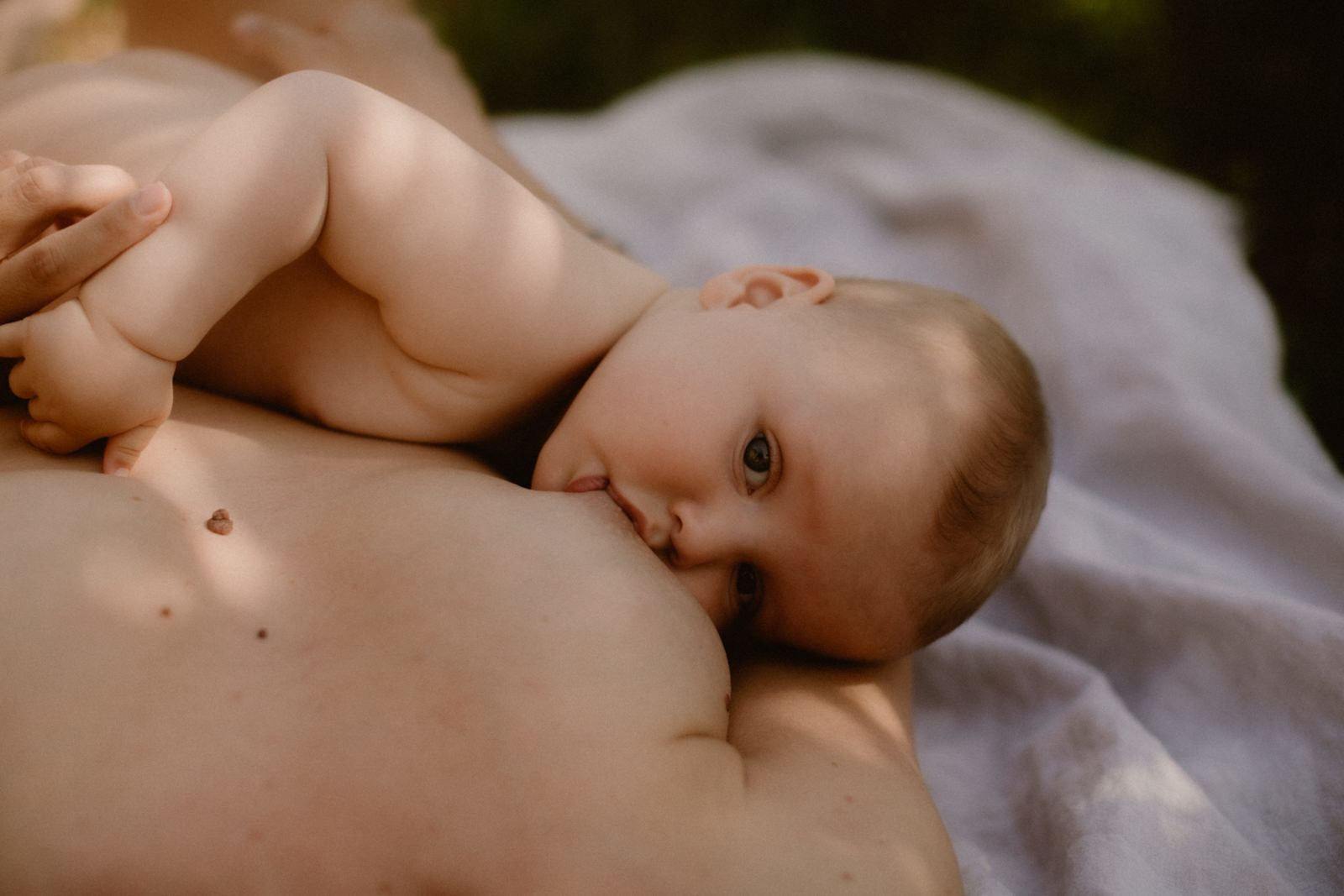 photographe allaitement maternité nice