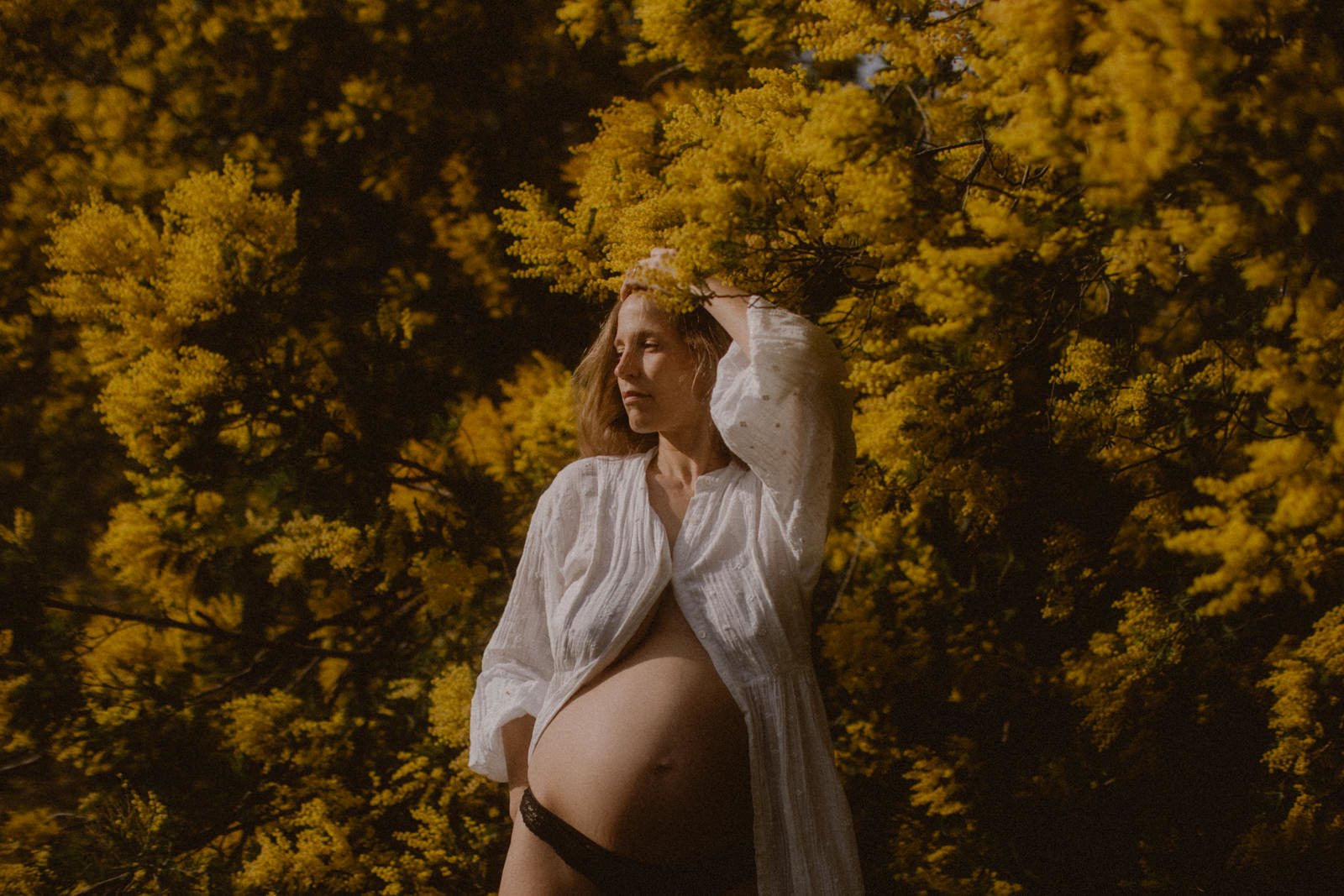 pregnancy photographer provence mimosa
