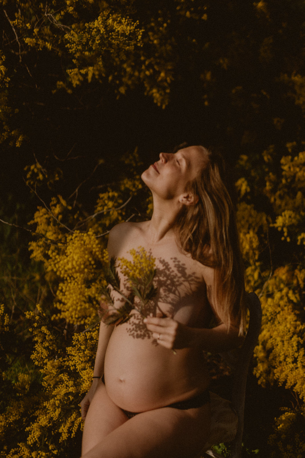 photo femme enceinte mimosa