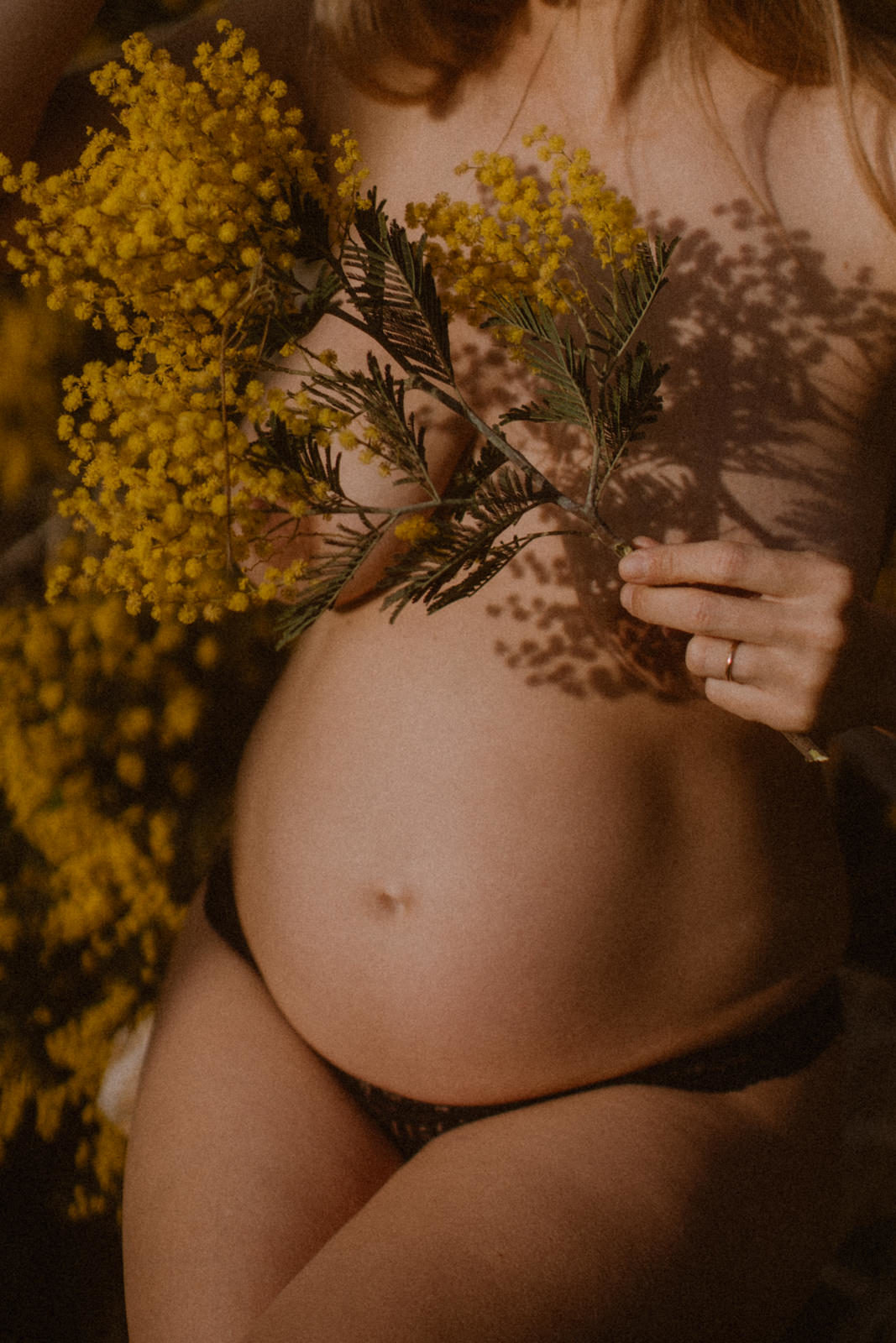 séance photo maternité dans le mimosa